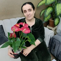 ДОМАШНЯЯ ЕДА