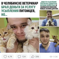 Ветеринар Баграт