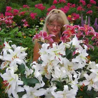 Елена Терехова