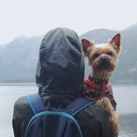 Woof Travel Vanlife