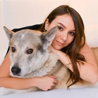 PETS BY KATERINA