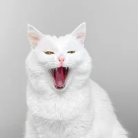 SOFIADELMONSTRO