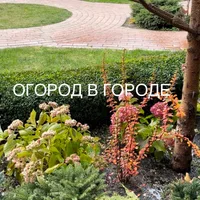 ОГОРОД В ГОРОДЕ 🌀🔆
