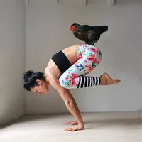 Aniko Yoga