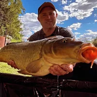 WILD CARP Carpfishing
