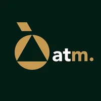 Система управления финансами. ATM Group.