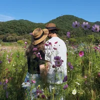 MakLena in Korea