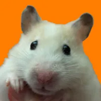 Говорящая Соня