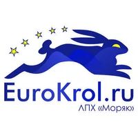 Кролики из Европы