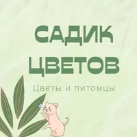 Садик цветов