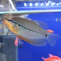 AquaWorldKZ