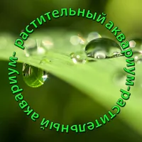 Plant Aquarium