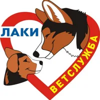 Ветклиника Лаки на Учительской (Ветеринарная клиника Лаки)