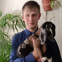 Чудесные истории