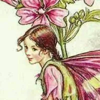 фея таро🧚♀️