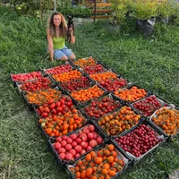 PETROVCHANKA LERA