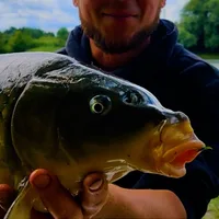 Maxi Fish