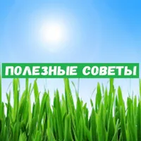 ПОЛЕЗНЫЕ СОВЕТЫ