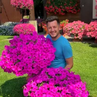 dima moget