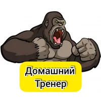 Домашний Тренер