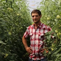 Деревенский Бизнесмен