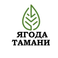 ЯГОДА ТАМАНИ