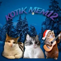 Kotik mem
