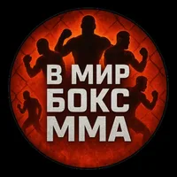 V MIR BOXING MMA