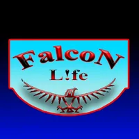 Валерий Соколов (Falcon L!FE)