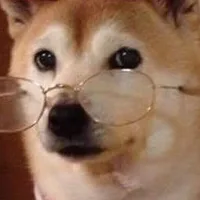 IY ЖИЗЬ
