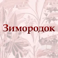 Зимородок - Yalı Çapkını
