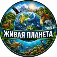 ЖИВАЯ ПЛАНЕТА - LIVING PLANET