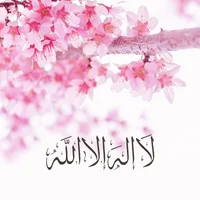 Abdussaməd Sələfi l Абдуссамад Салафит